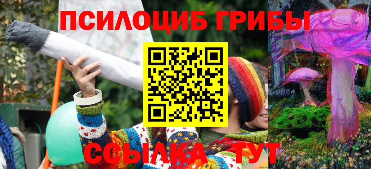 Димитровград  Псилоцибиновые грибы Magic Shrooms  Галлюциногенные грибы Cubensis  Вход с VPN 
