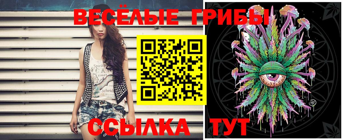 Галлюциногенные грибы Cubensis Димитровград
