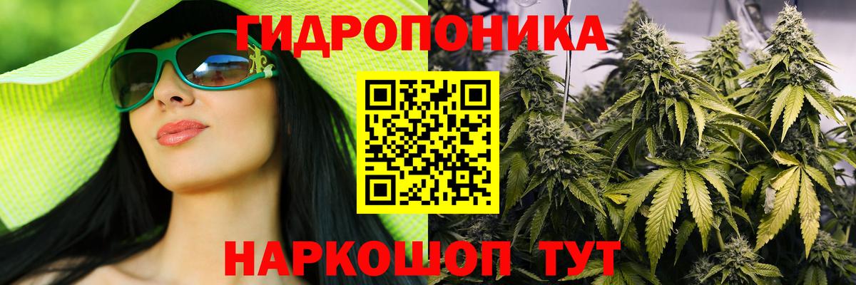 Канабис OG Kush Димитровград